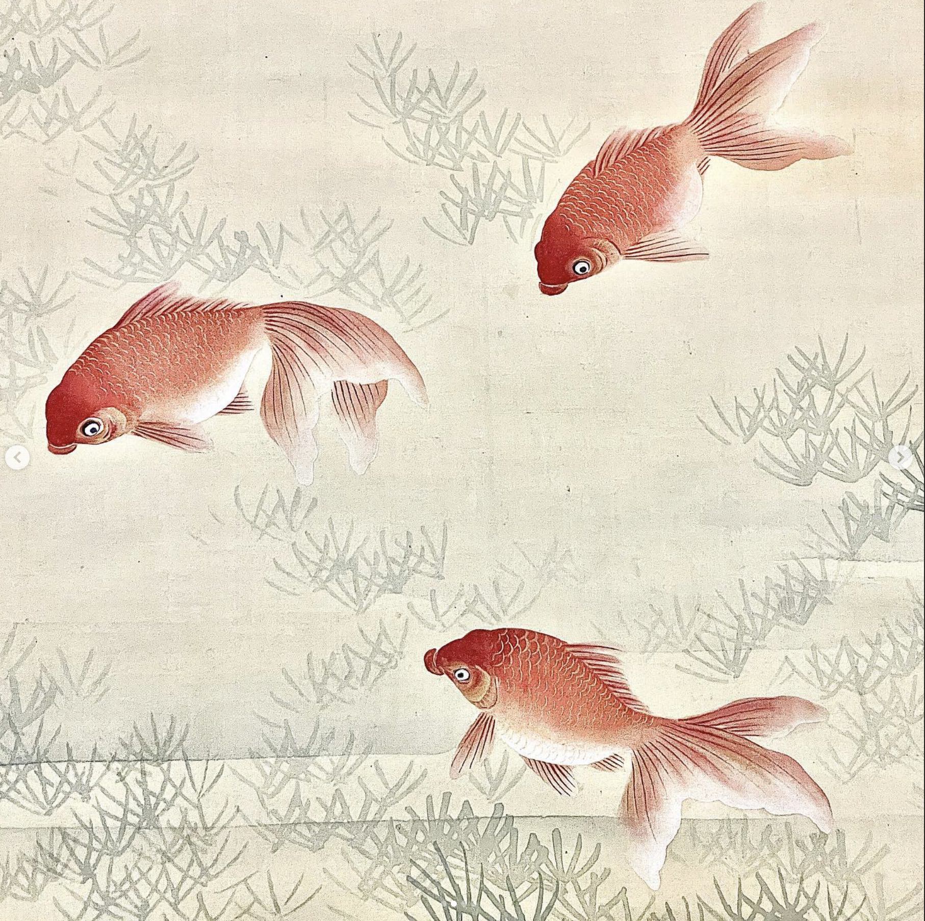 金魚図の部分