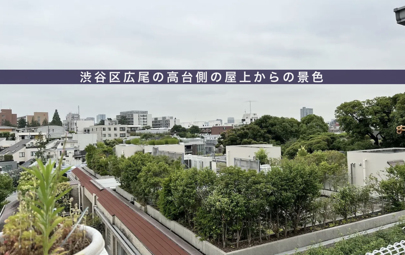 渋谷区広尾の高台側の屋上から見た景色