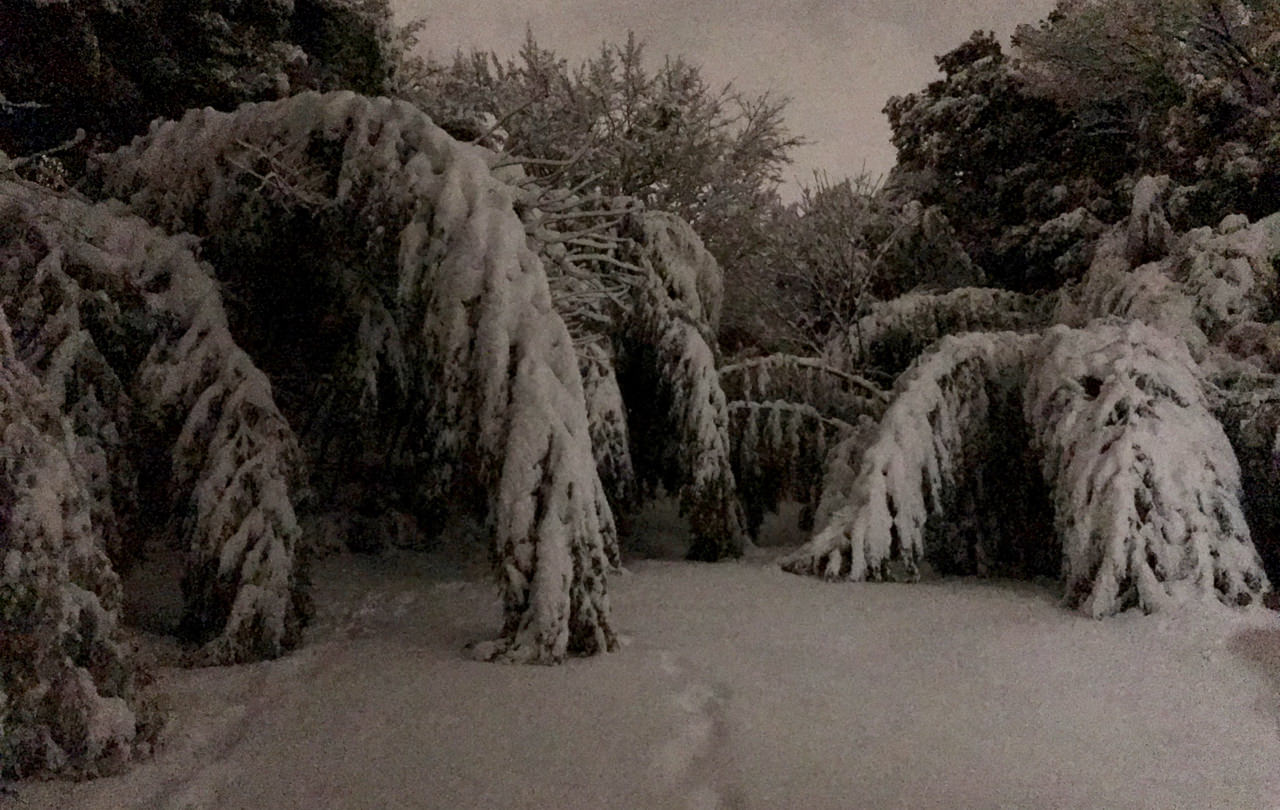 家の近所の雪