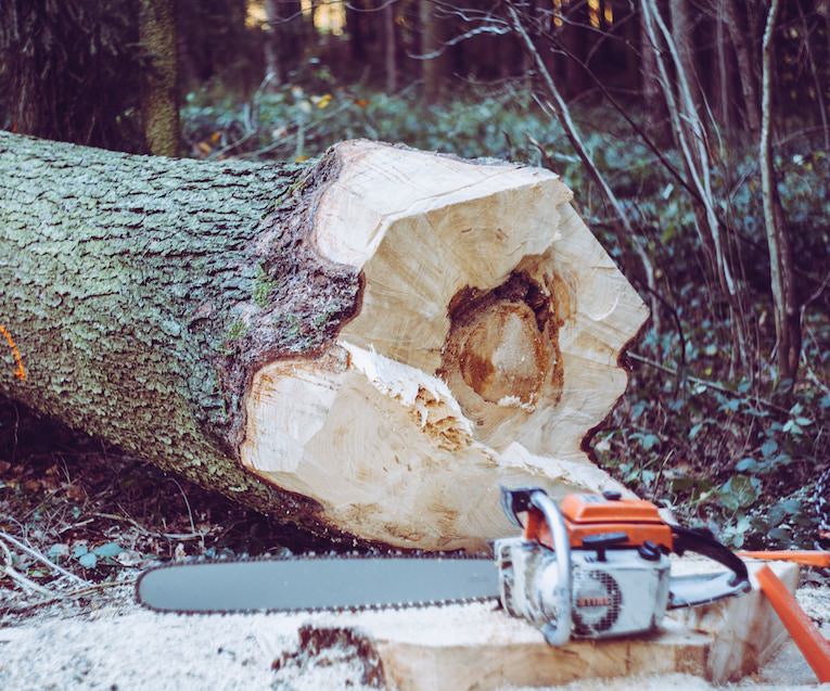 Lumberjackh 木こり