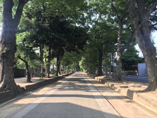 氷川神社