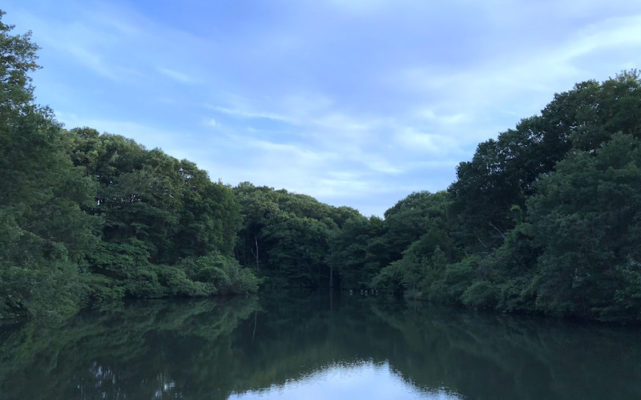 八王子の長池