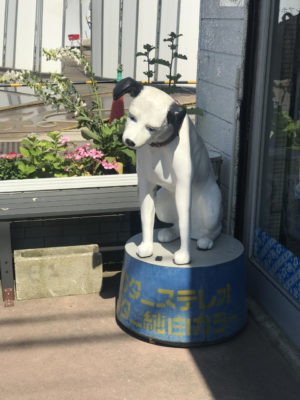 検見川のパナソニックの前にいたビクターの犬