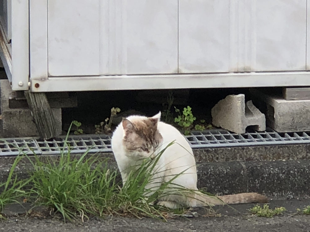 火鉢屋の室長の腸活