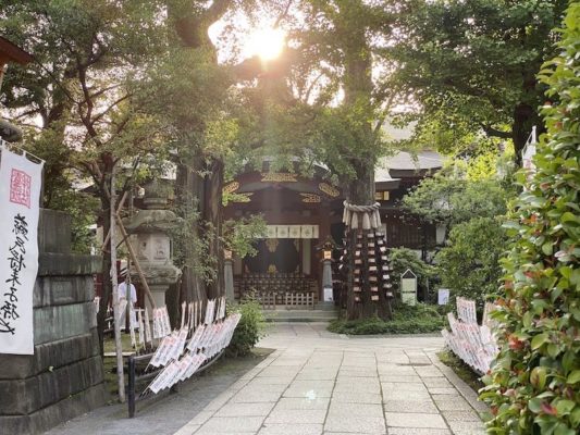 ゼッタイ松尾芭蕉も参拝した素盞嗚神社さん