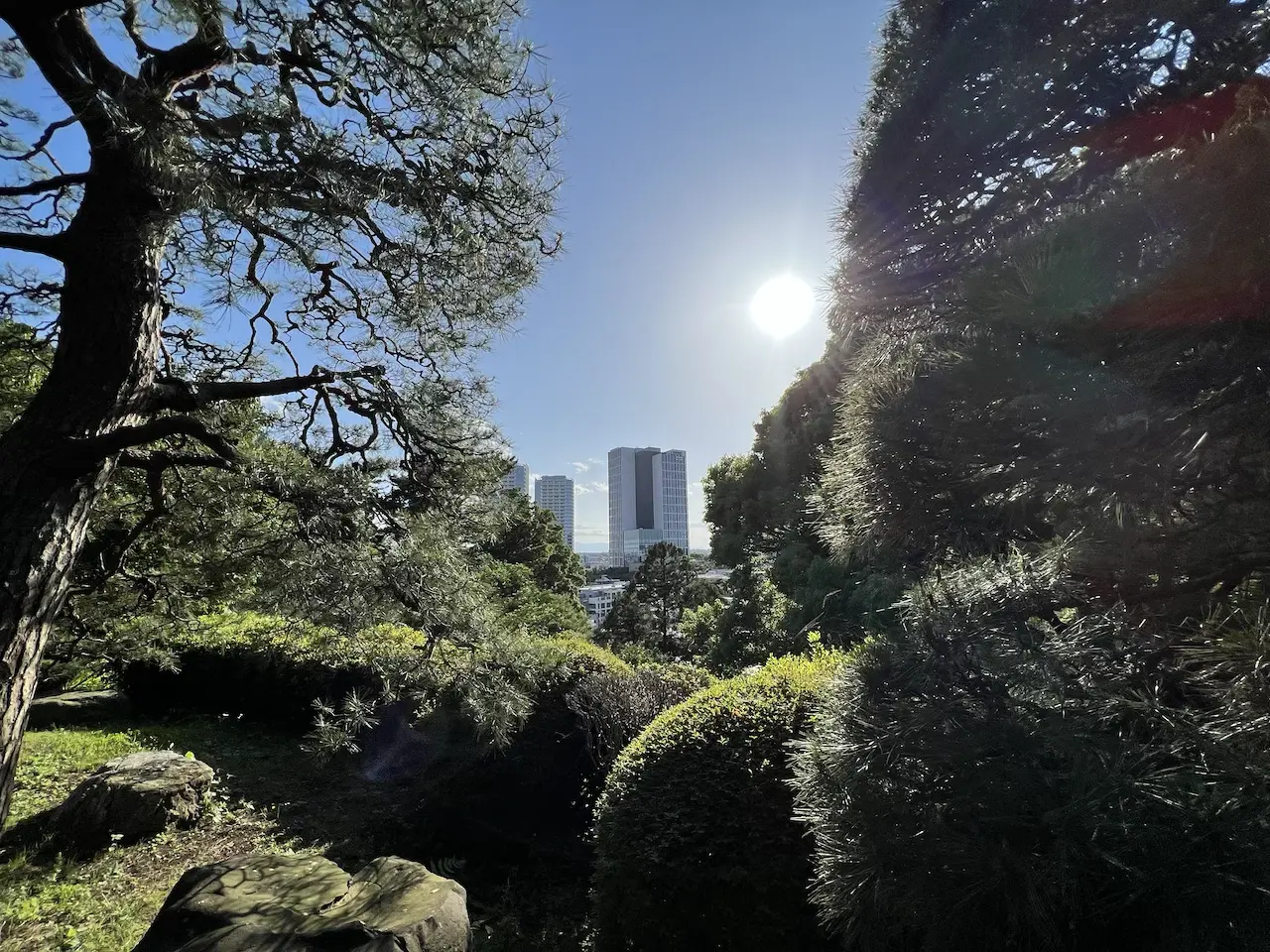 五島美術館の庭園