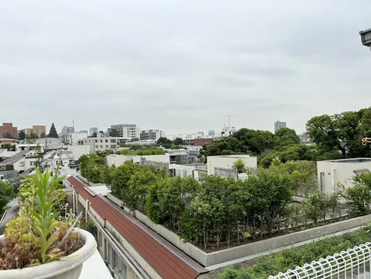 渋谷区広尾での古いもの、掛軸の買取の様子