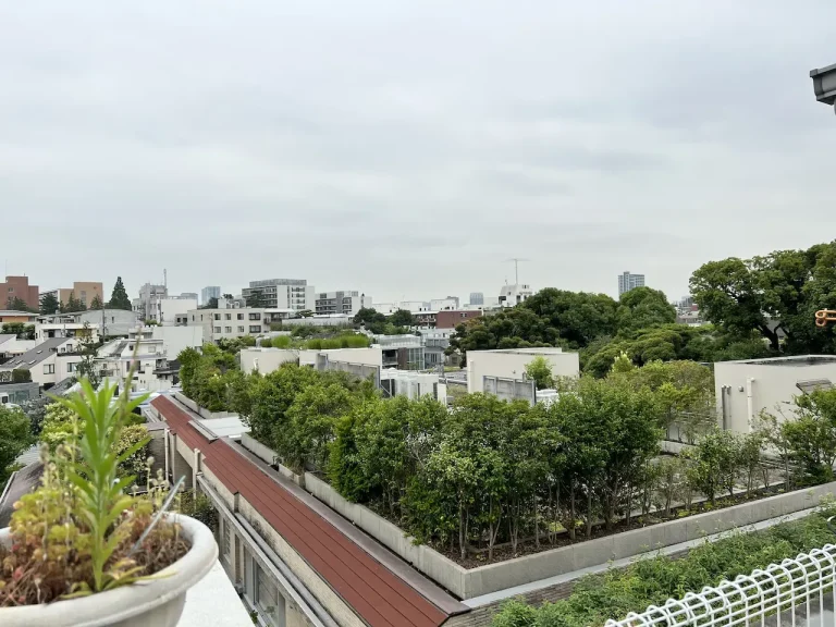 渋谷区広尾での古いもの、掛軸の買取の様子