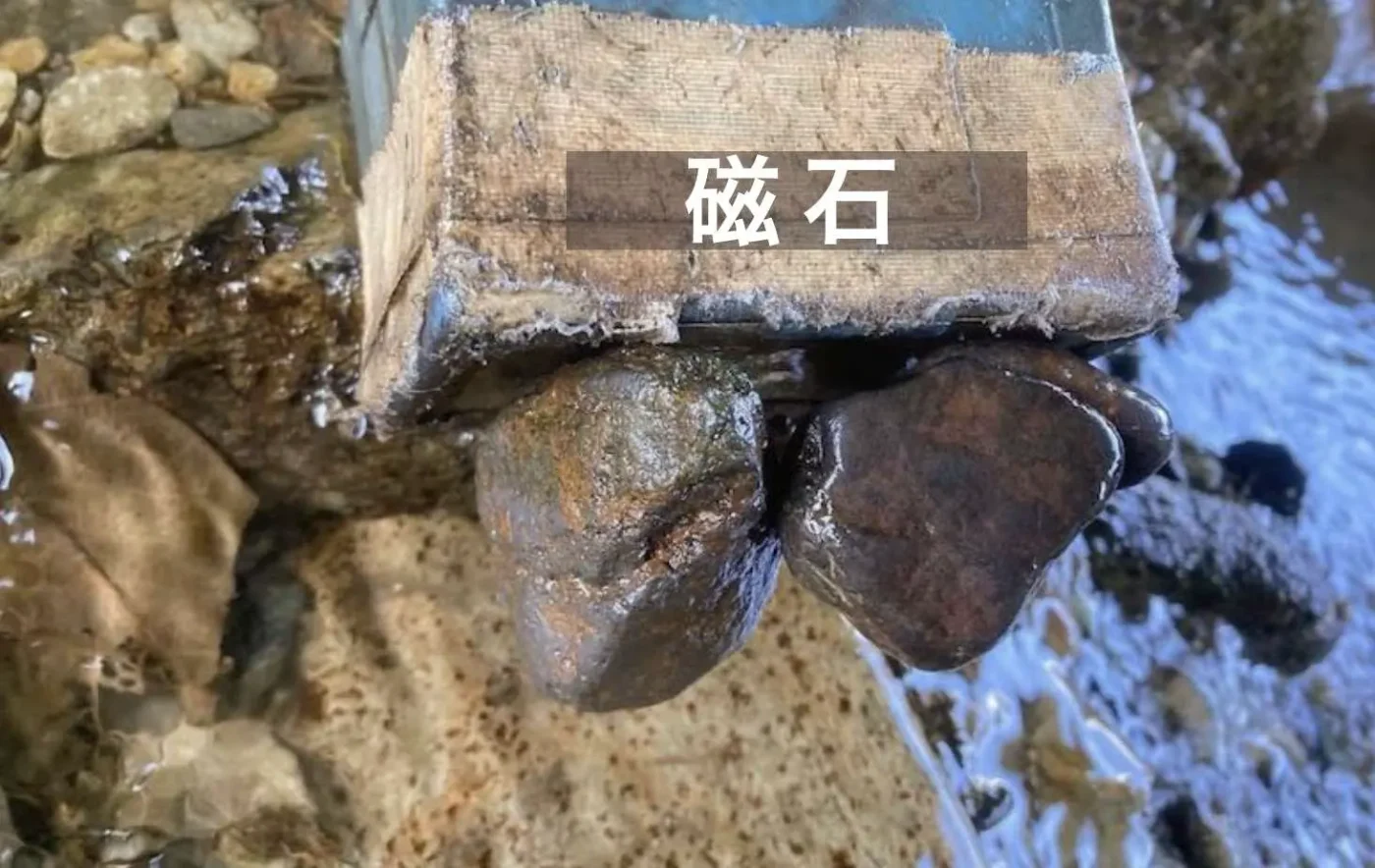 これが磁鉱石