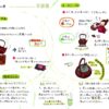 鉄瓶の使い方PDF